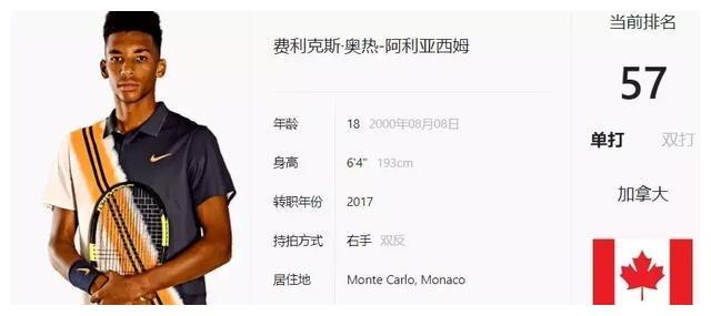 对抗能力 对抗能力